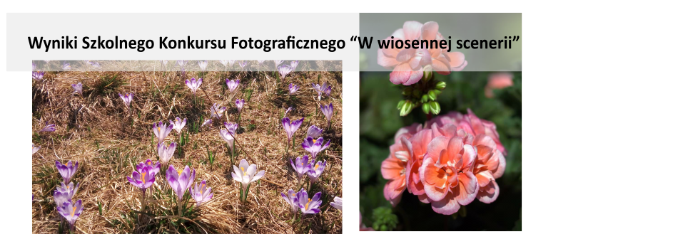 Więcej o: Wyniki Szkolnego Konkursu Fotograficznego “W wiosennej scenerii”.