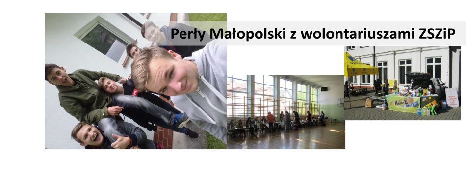 Więcej o: V Perły Małopolski z wolontariuszami ZSZiP